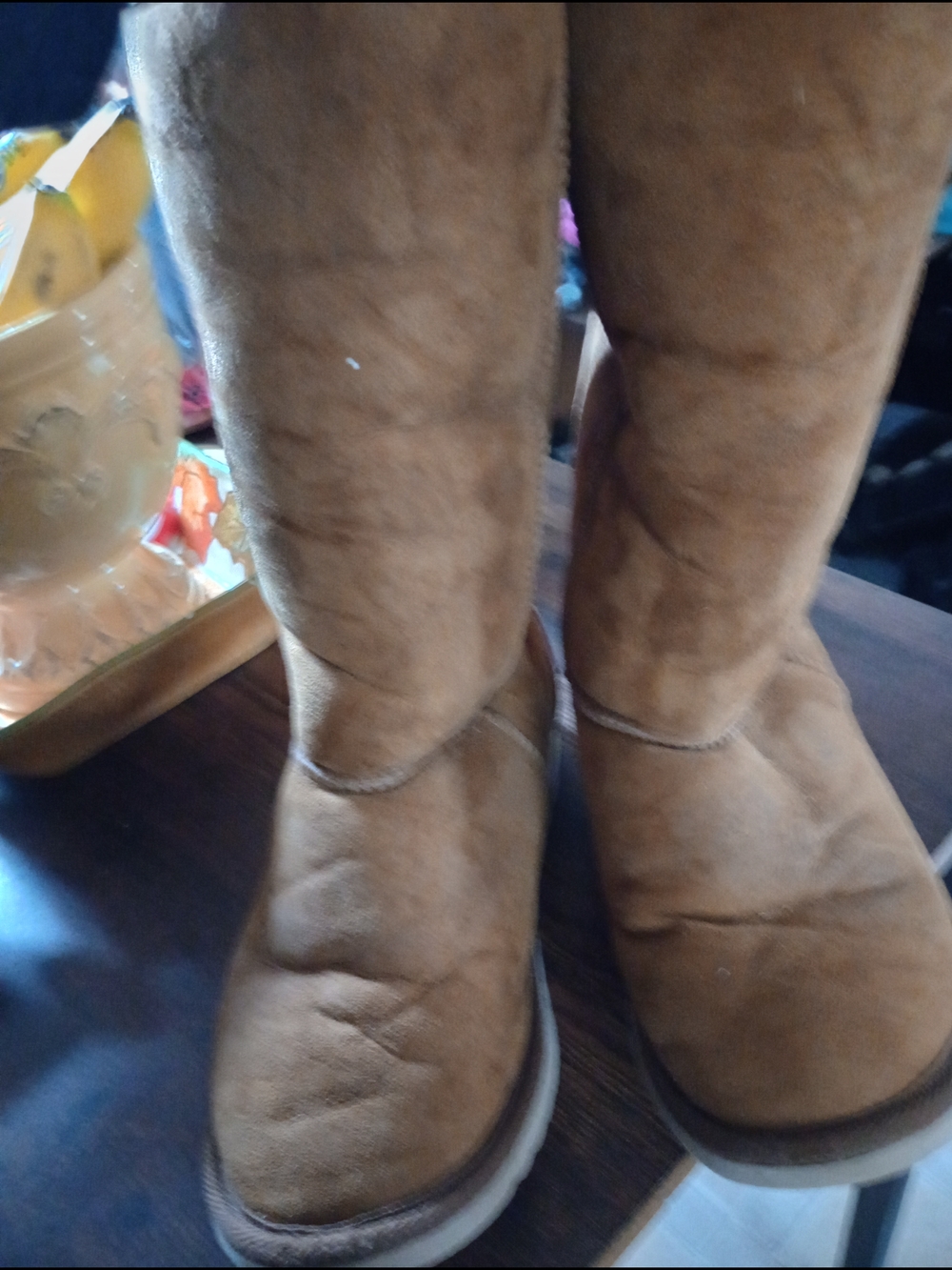 UGG Women's Chestnut Suede Tall Winter Boots